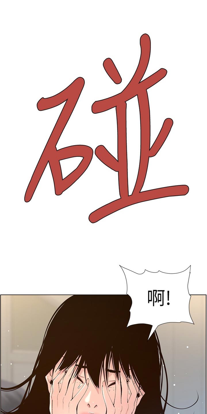 《假爸爸》第215章教训 第17页