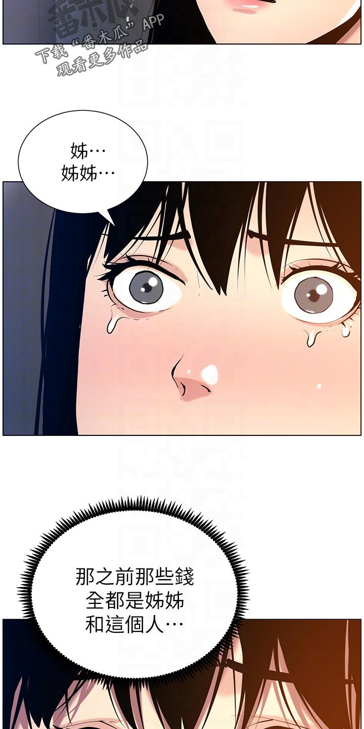 《假爸爸》第204章昔日的大气 第14页