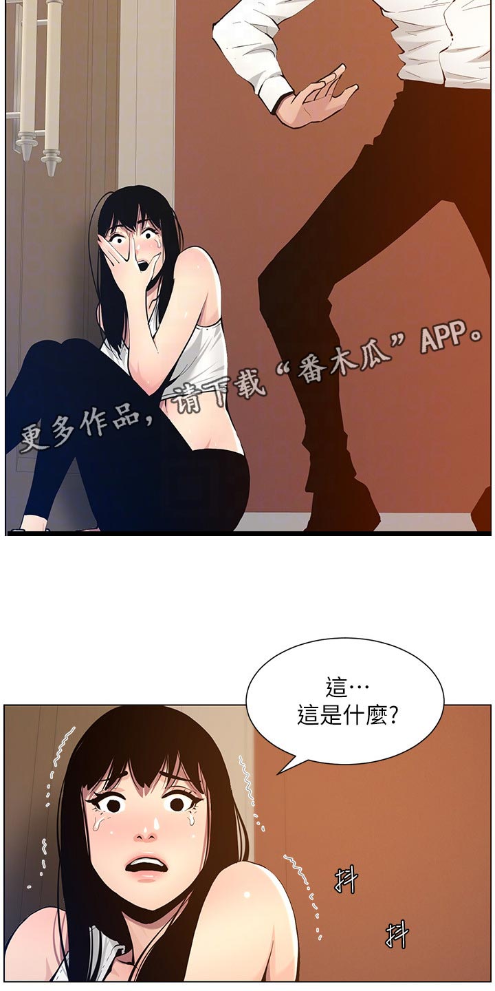 《假爸爸》第204章昔日的大气 第6页