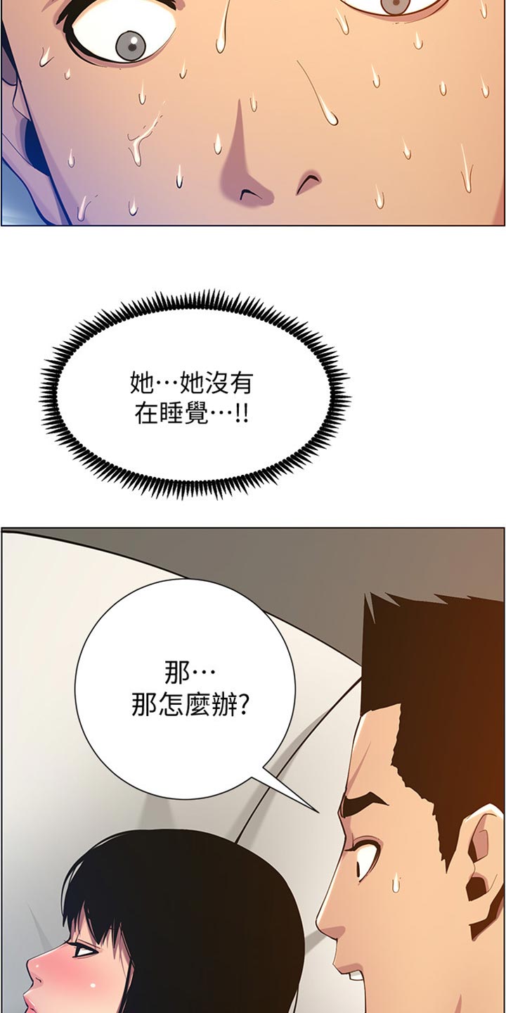 《假爸爸》第197章收拾状况 第15页