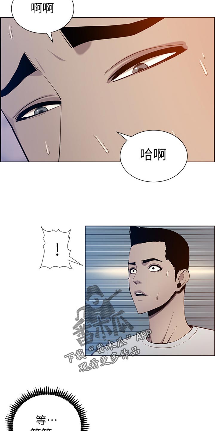《假爸爸》第193章计划许久 第13页