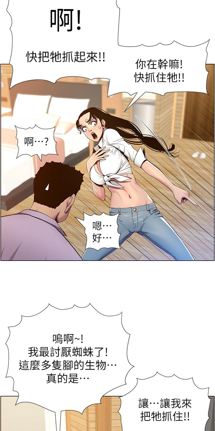 《假爸爸》第182章战袍 第13页