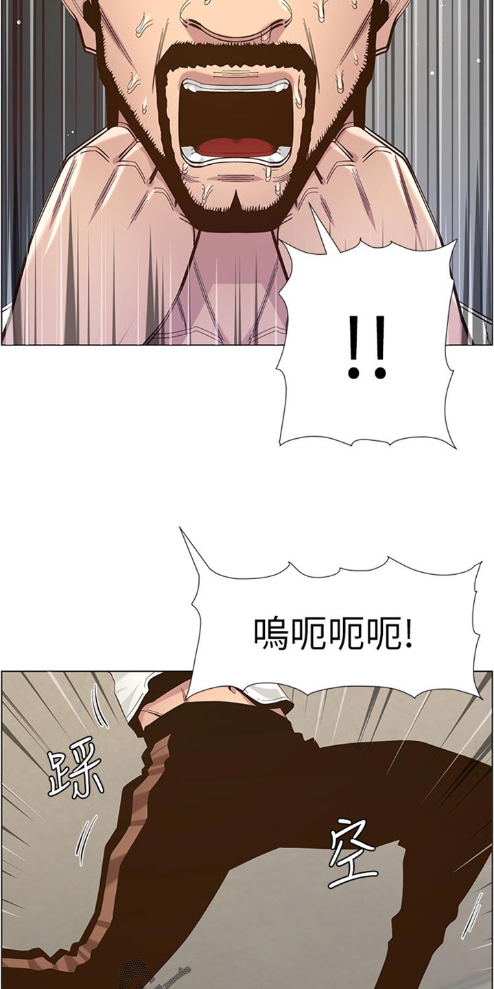 《假爸爸》第164章垂死挣扎 第13页