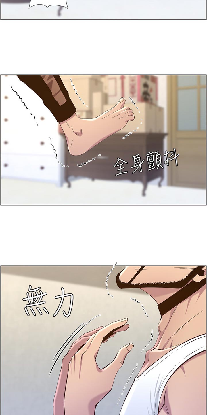 《假爸爸》第164章垂死挣扎 第17页