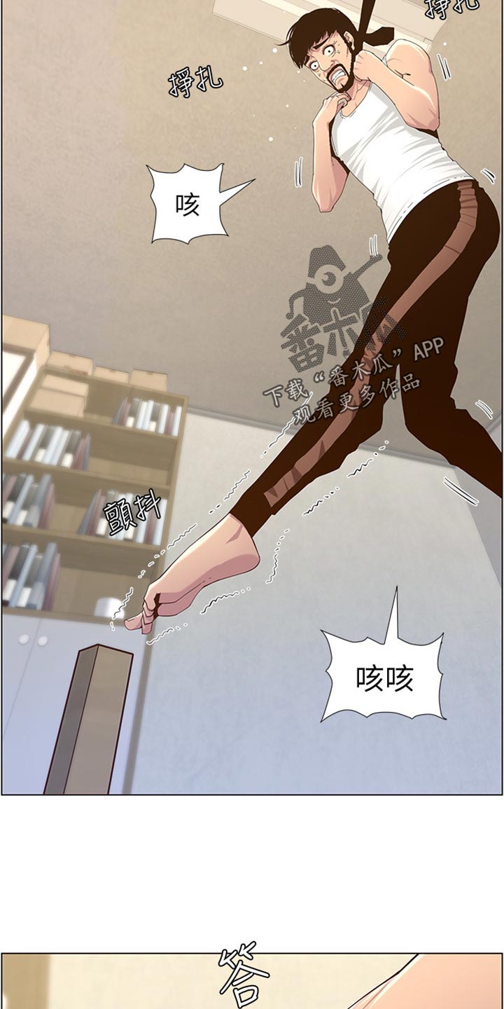 《假爸爸》第164章垂死挣扎 第2页