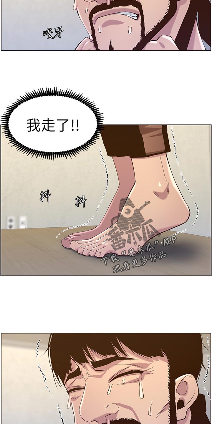 《假爸爸》第163章无后顾之忧 第16页