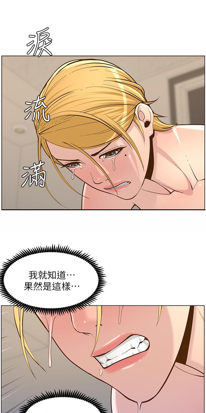 《假爸爸》第154章都一个样 第13页