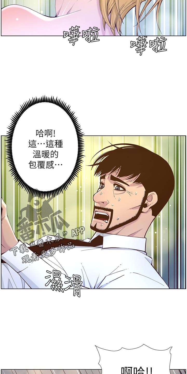 《假爸爸》第146章豁出去了 第7页