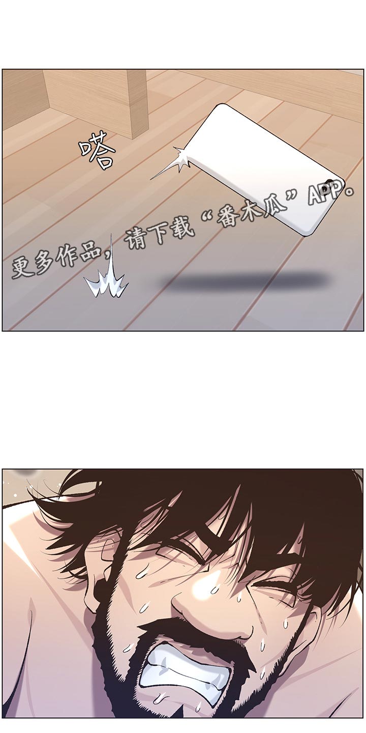 《假爸爸》第115章破口大骂 第2页