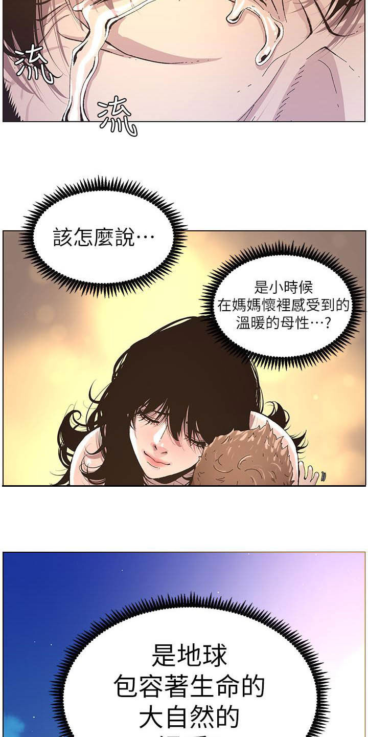 《假爸爸》第76章爱 第13页