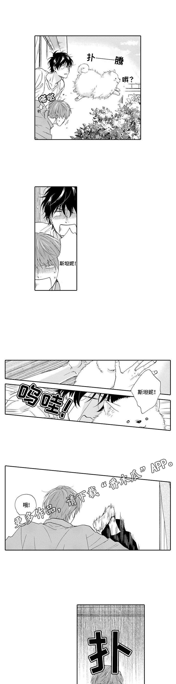 《不会咬人的狗》第16章惊吓 第8页