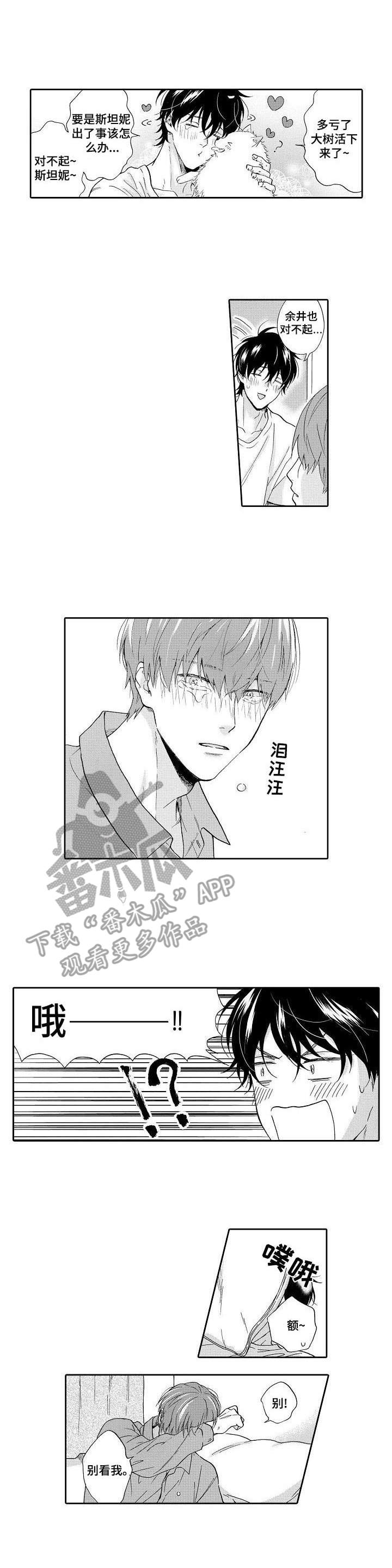 《不会咬人的狗》第17章负责（完结） 第1页