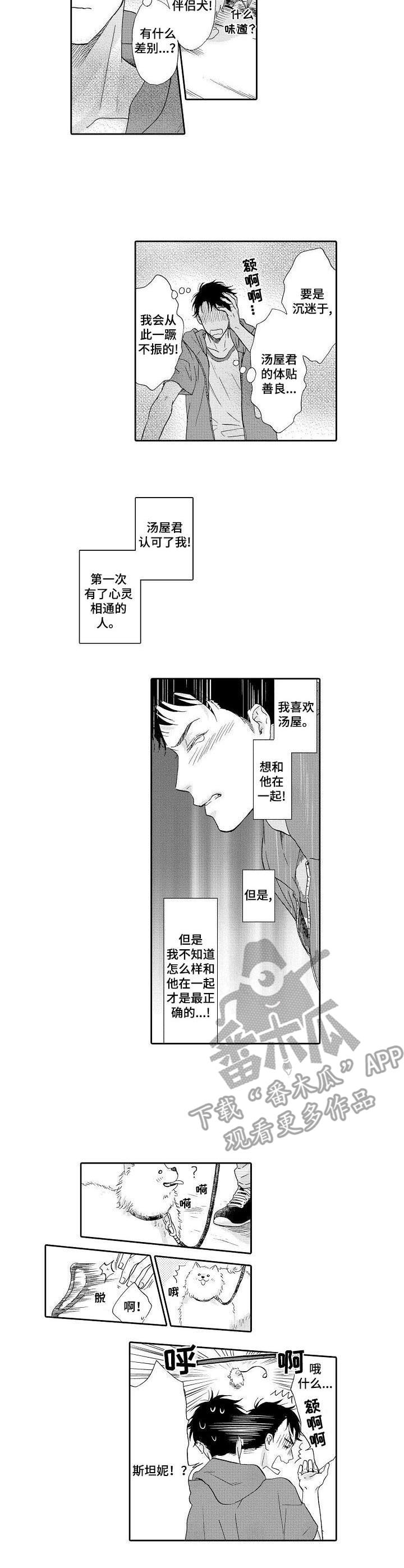 《不会咬人的狗》第12章散步 第3页