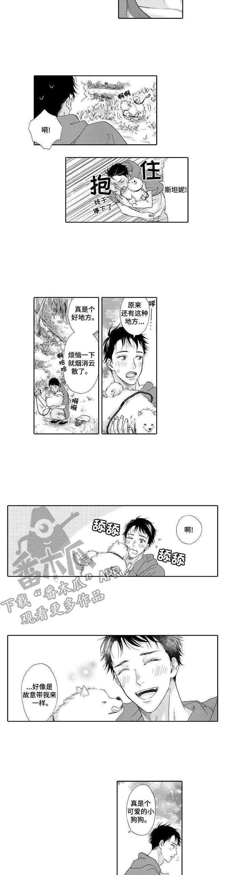 《不会咬人的狗》第12章散步 第5页