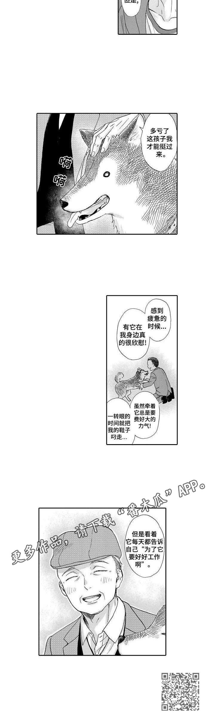 《不会咬人的狗》第12章散步 第7页