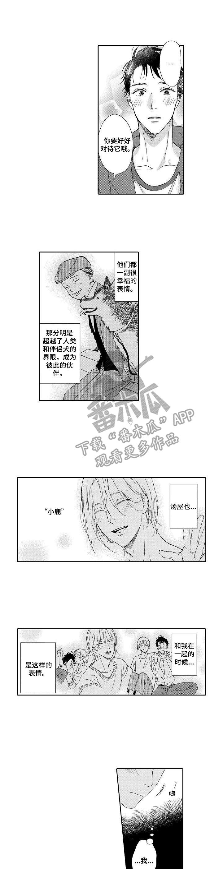 《不会咬人的狗》第13章很幸福 第1页