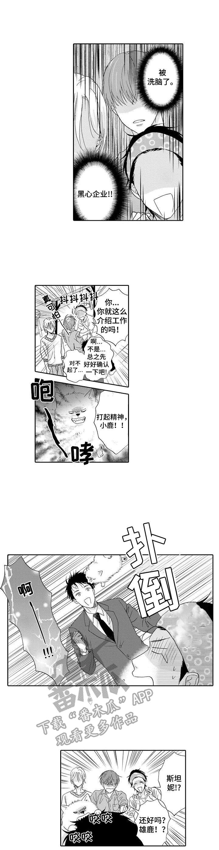 《不会咬人的狗》第10章黑心公司 第2页