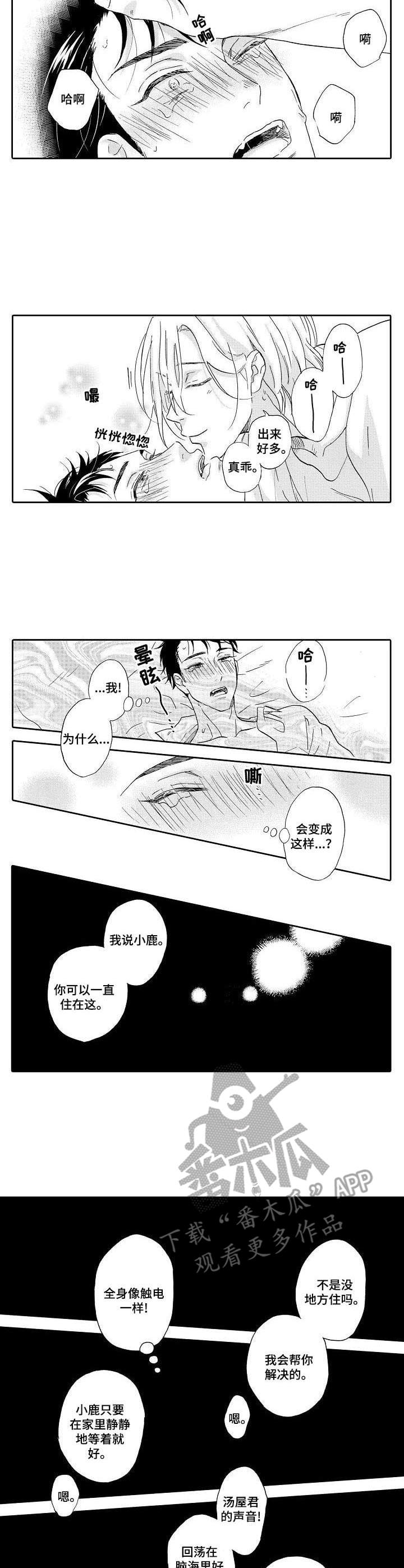 《不会咬人的狗》第3章 不是梦 第3页