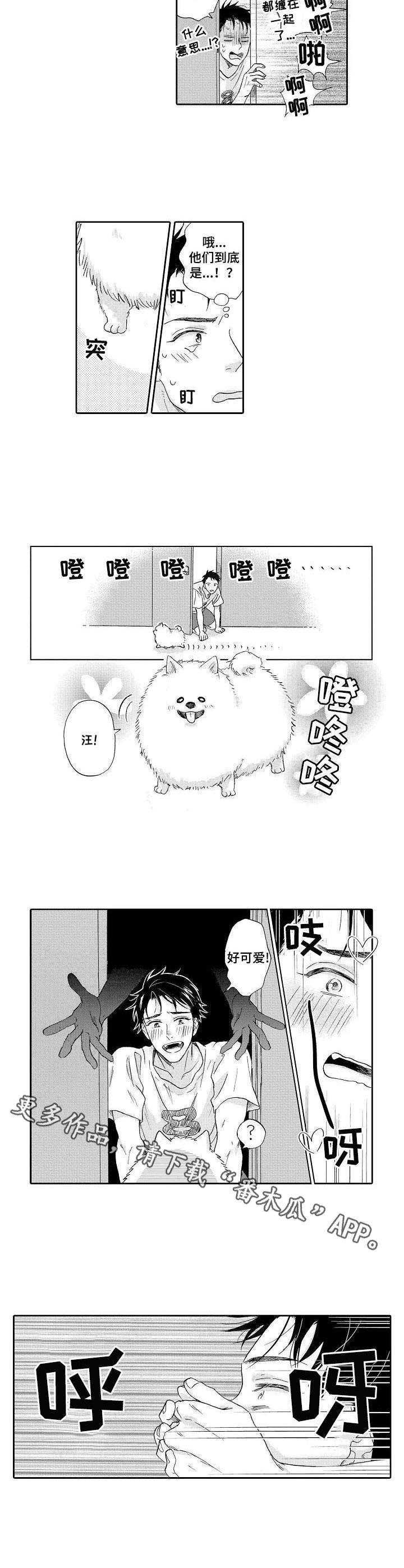 《不会咬人的狗》第3章 不是梦 第7页