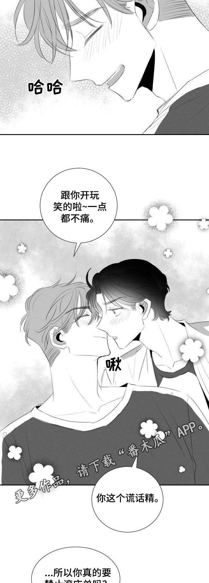 《彗星出租店》第42章满足（完结） 第11页