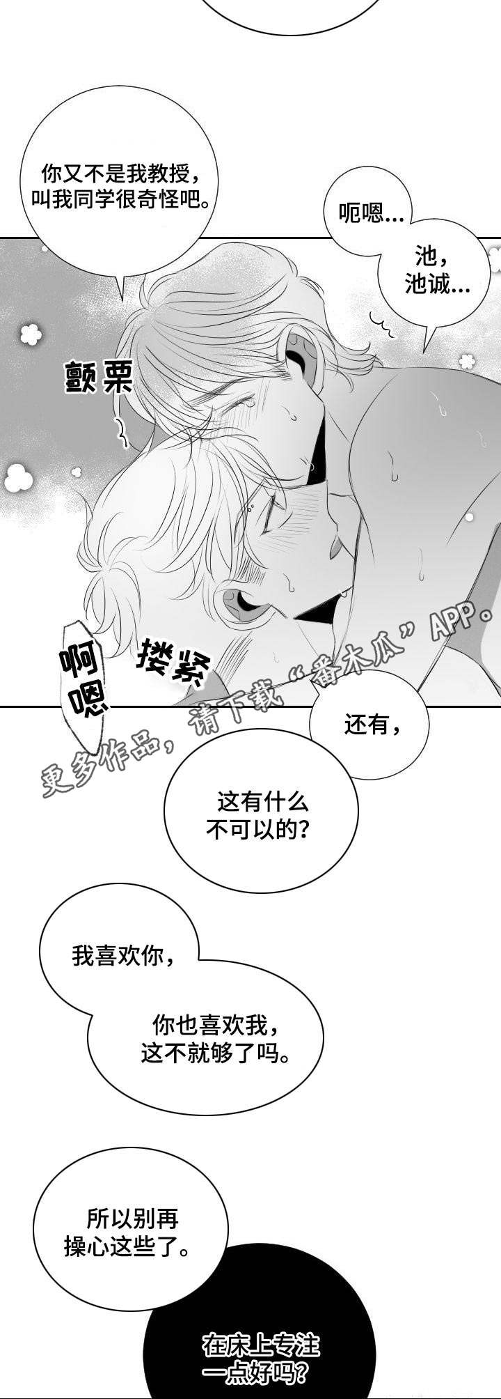 《彗星出租店》第40章遵循本心 第11页