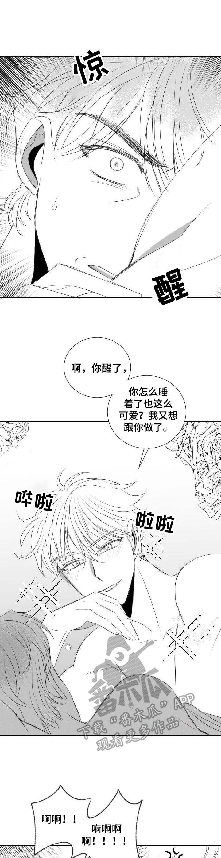 《彗星出租店》第40章遵循本心 第13页