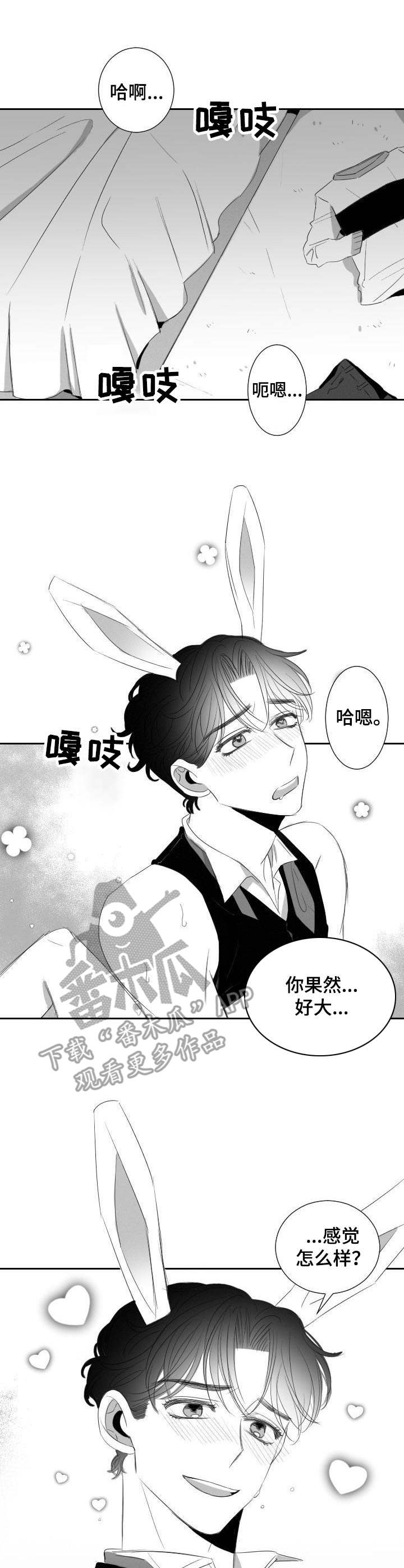 《彗星出租店》第36章甜蜜恋爱 第1页