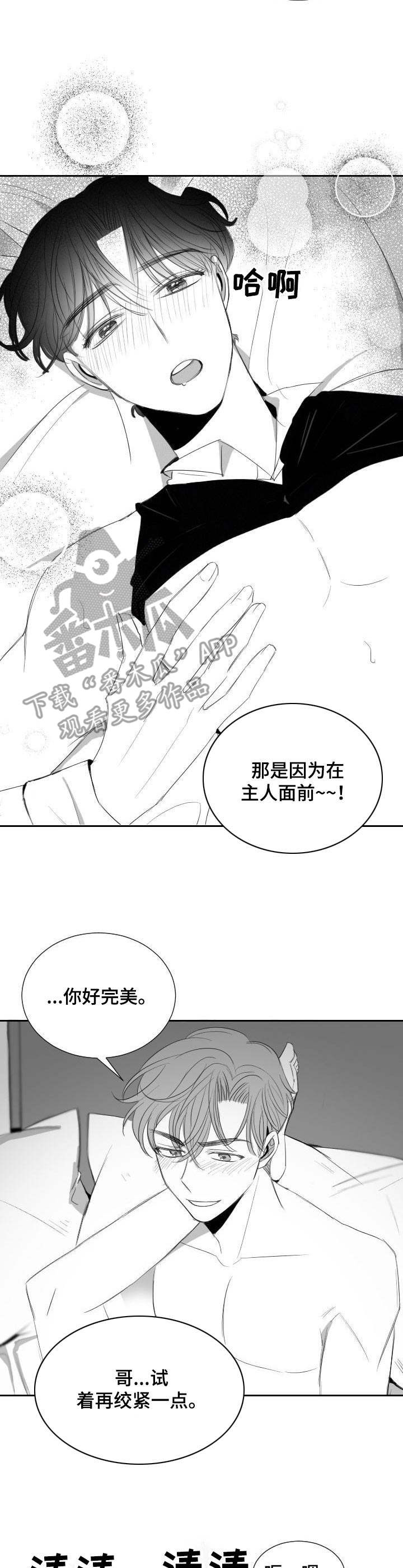 《彗星出租店》第36章甜蜜恋爱 第5页