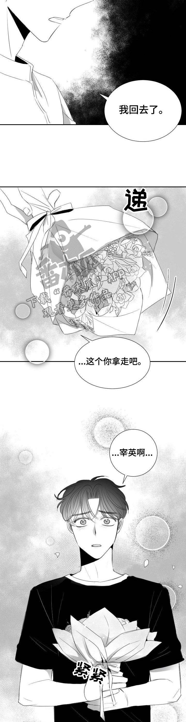 《彗星出租店》第33章道歉 第5页