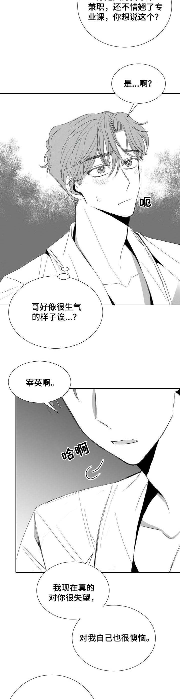 《彗星出租店》第31章分歧 第3页