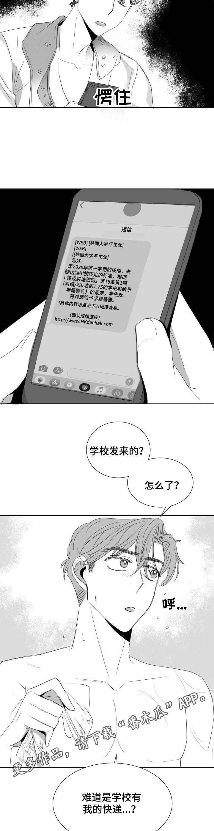 《彗星出租店》第30章学籍警告 第13页