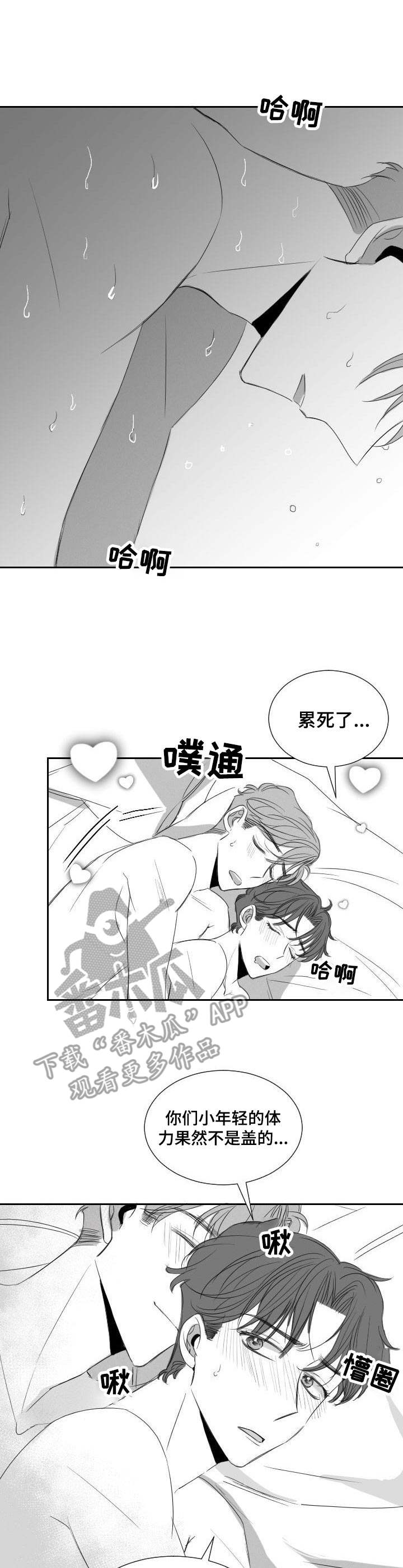 《彗星出租店》第30章学籍警告 第1页