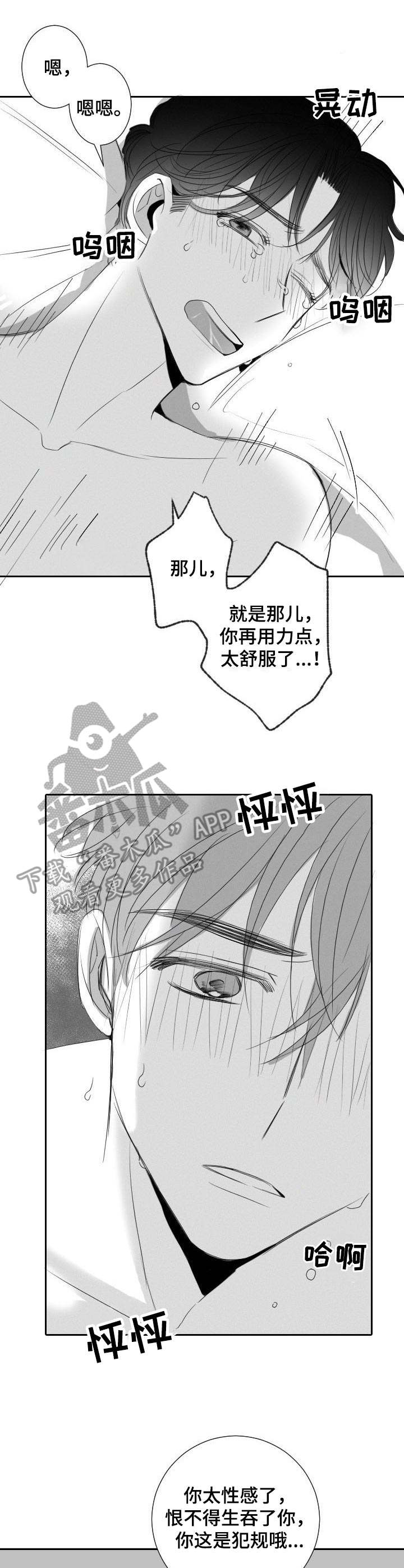 《彗星出租店》第29章不用克制 第13页