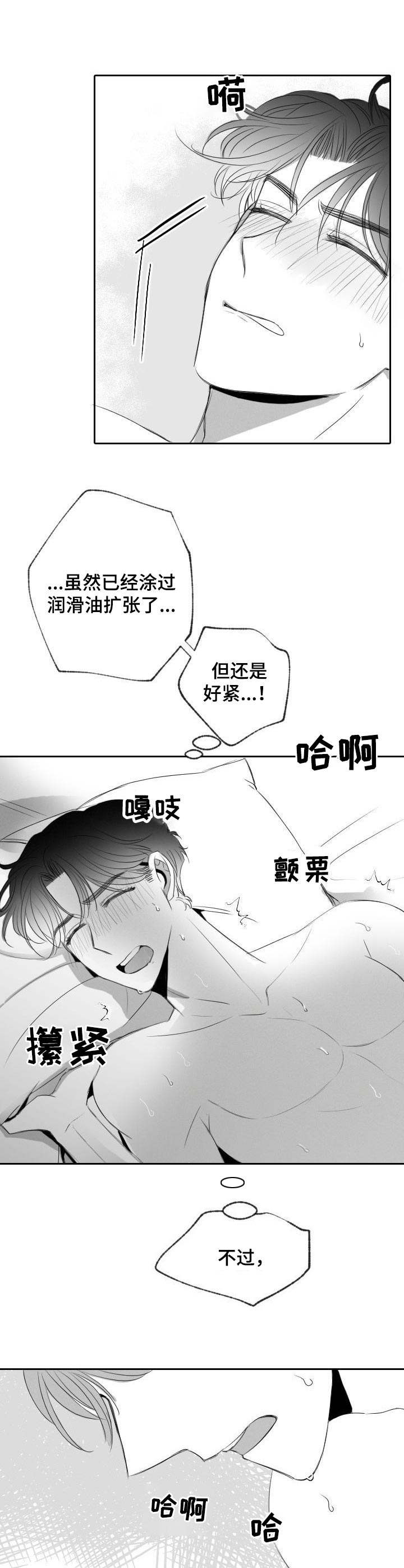 《彗星出租店》第29章不用克制 第3页