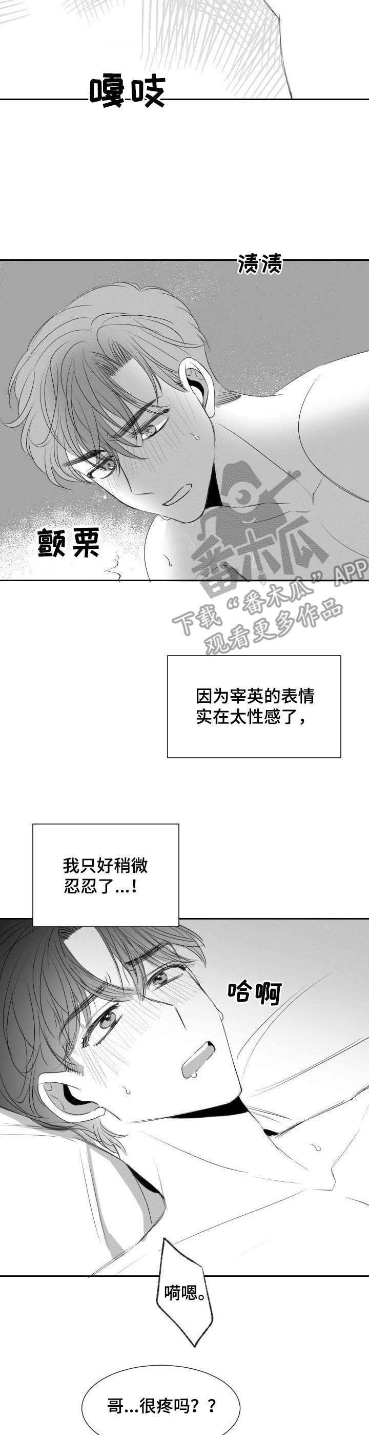 《彗星出租店》第29章不用克制 第4页