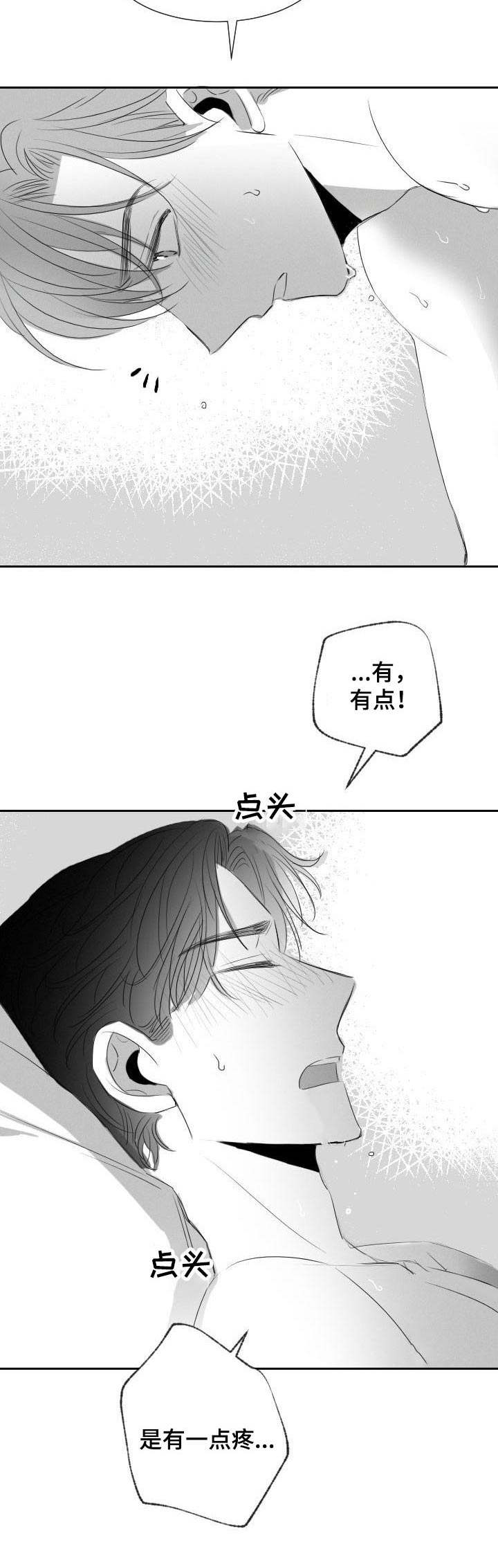 《彗星出租店》第29章不用克制 第5页