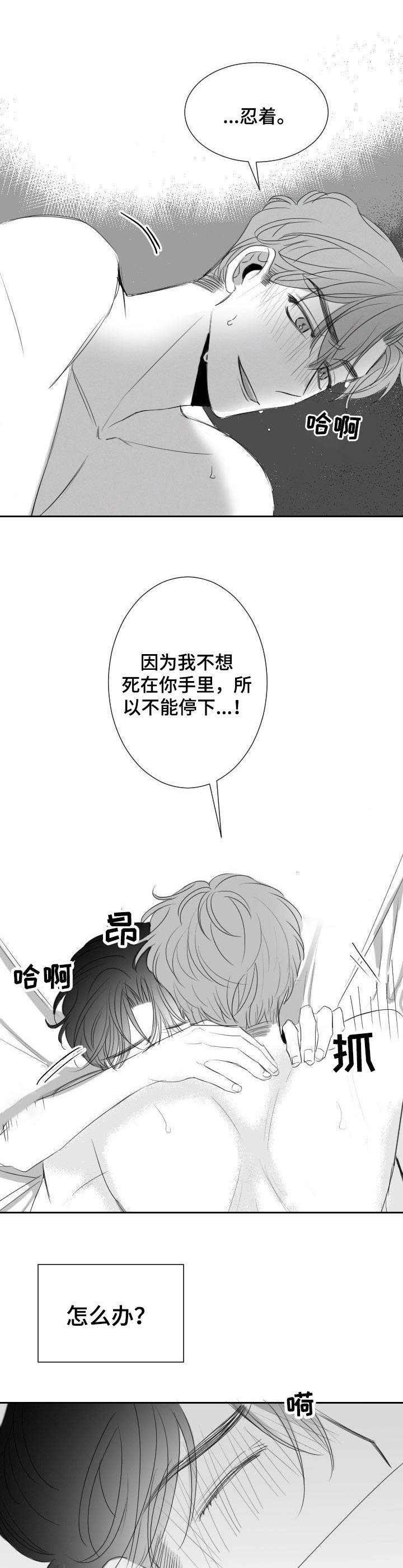 《彗星出租店》第29章不用克制 第9页
