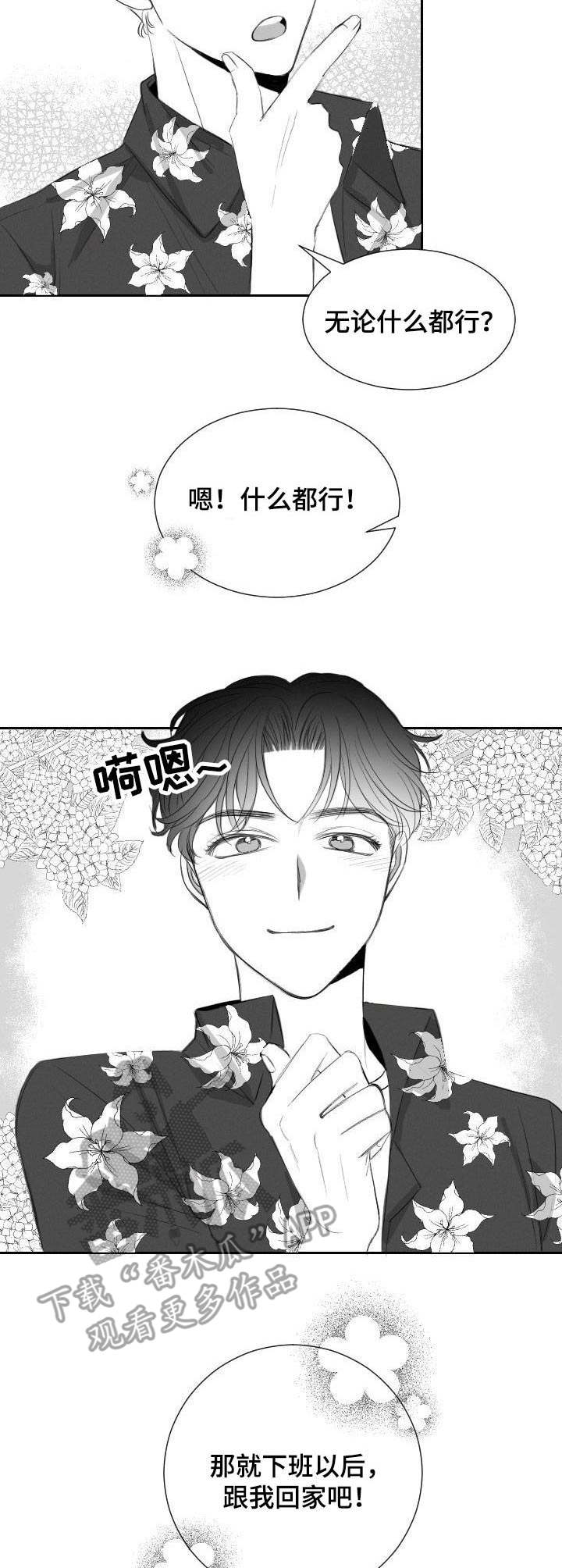 《彗星出租店》第25章礼物 第3页
