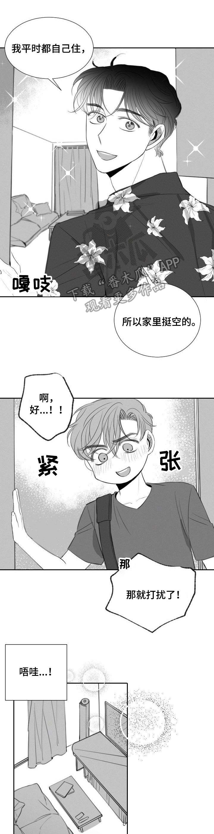 《彗星出租店》第25章礼物 第5页