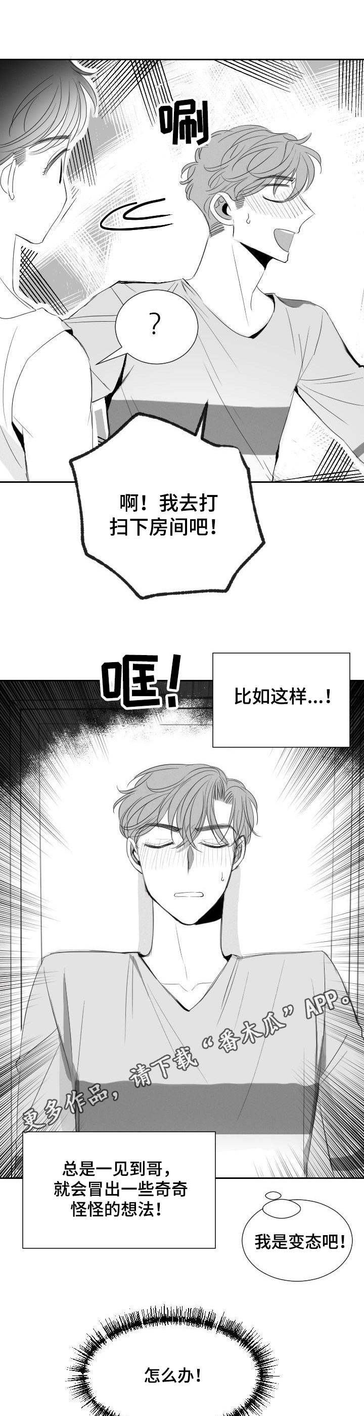 《彗星出租店》第27章换个地方 第8页
