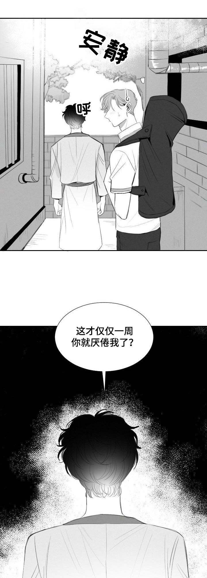 《彗星出租店》第22章顾虑 第5页
