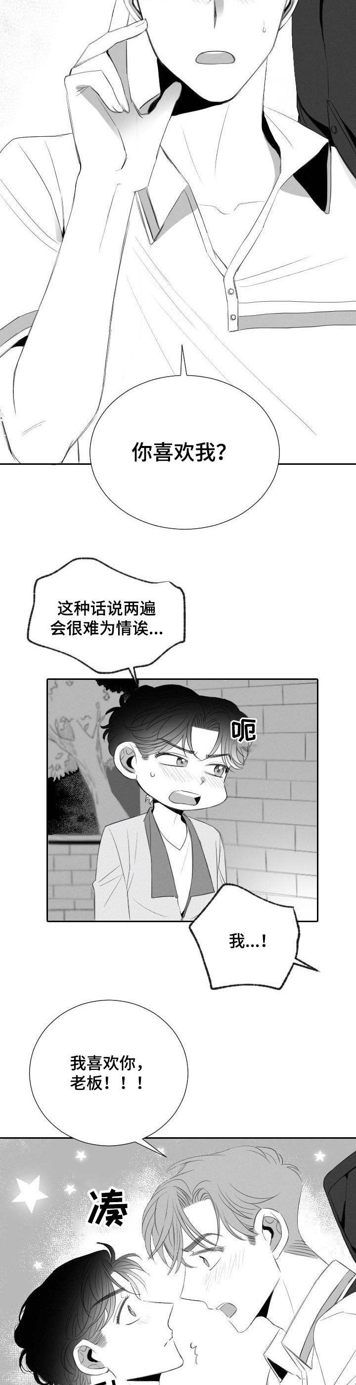 《彗星出租店》第23章表白 第5页