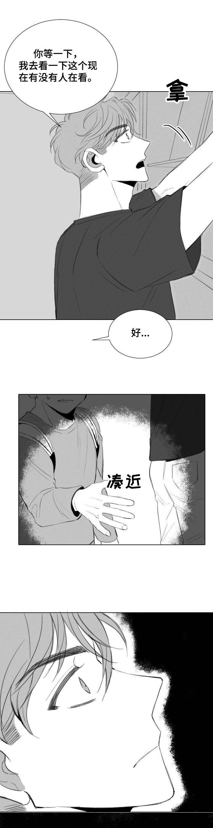 《彗星出租店》第15章骚扰 第3页