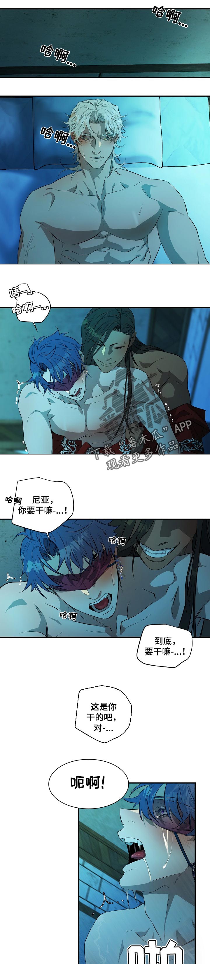 《爱恨之间》第20章好奇的人 第5页