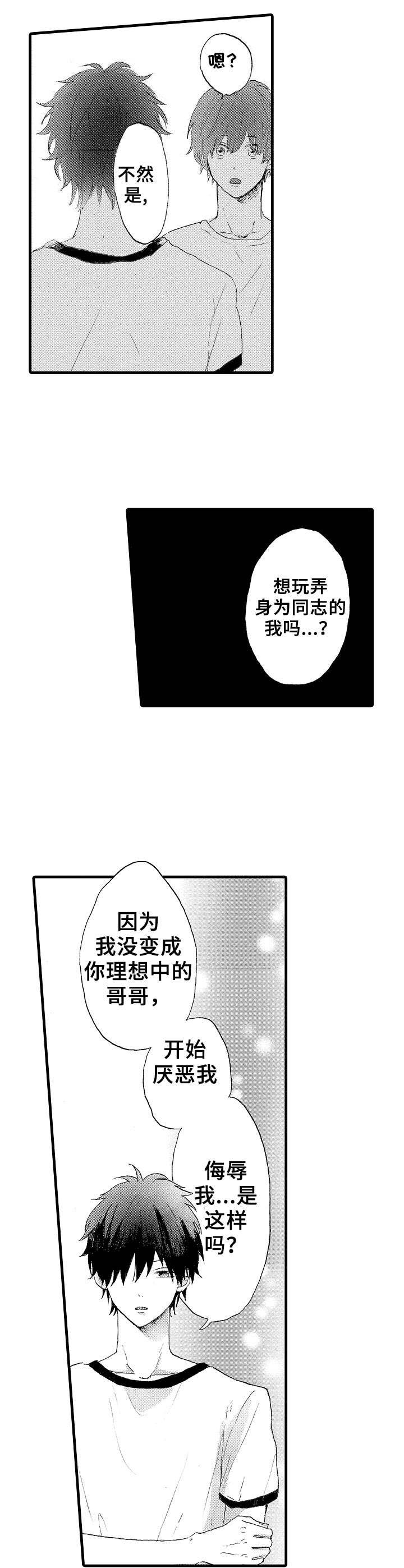 《想亲吻哥哥》第20章怎样的人 第5页