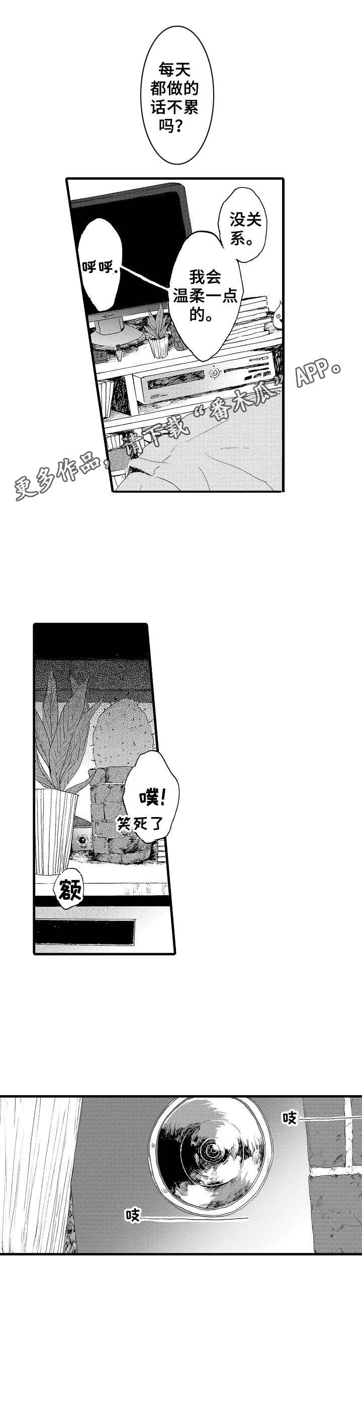《想亲吻哥哥》第15章名字 第5页