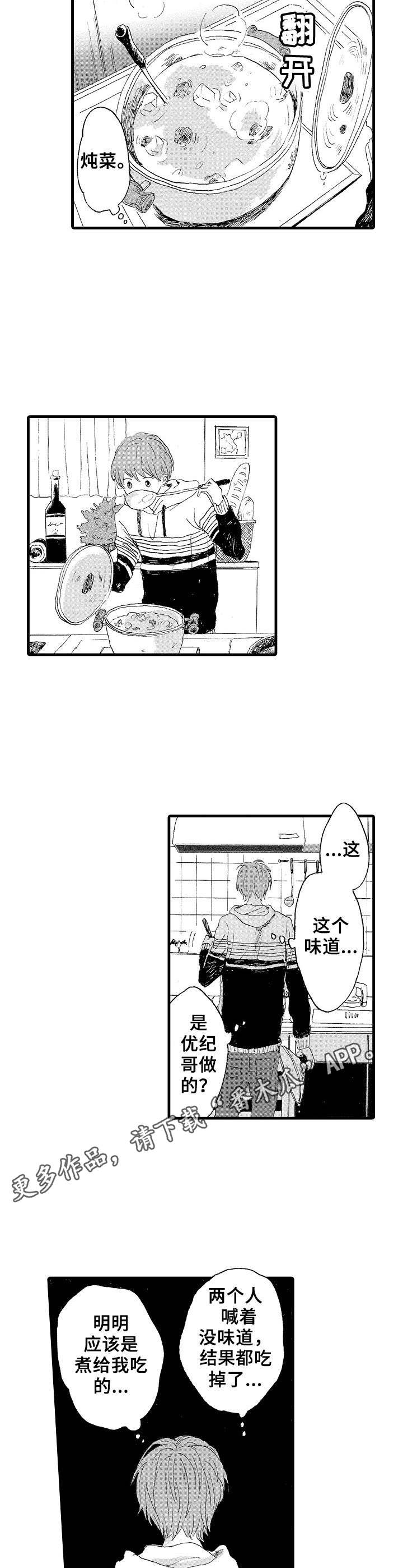 《想亲吻哥哥》第14章摄像头 第8页
