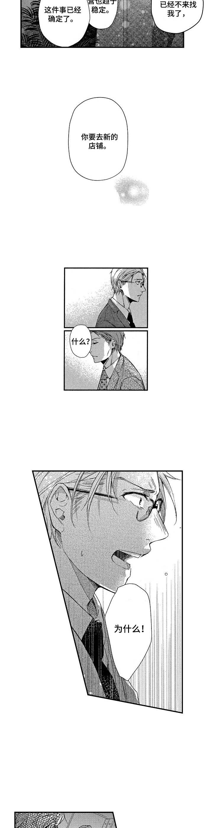 《霓虹灯街》第12章调动 第8页