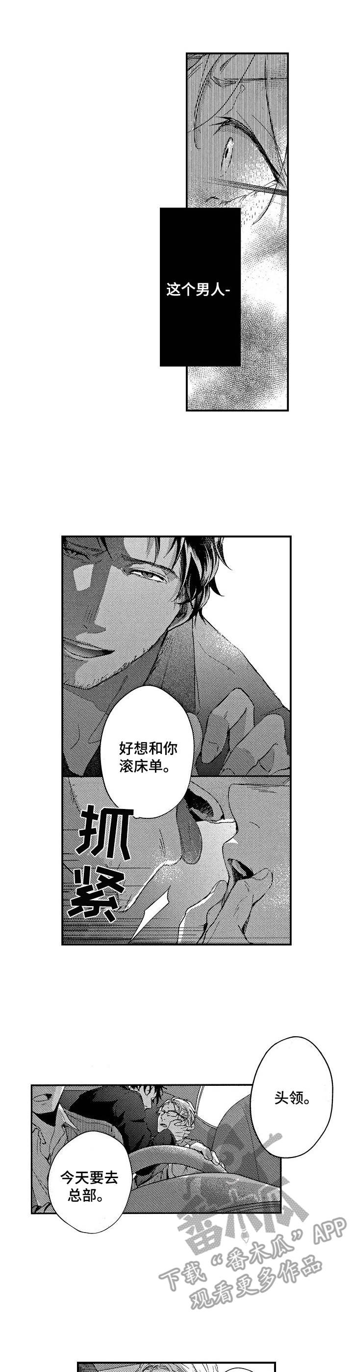 《霓虹灯街》第7章开心坏了 第2页