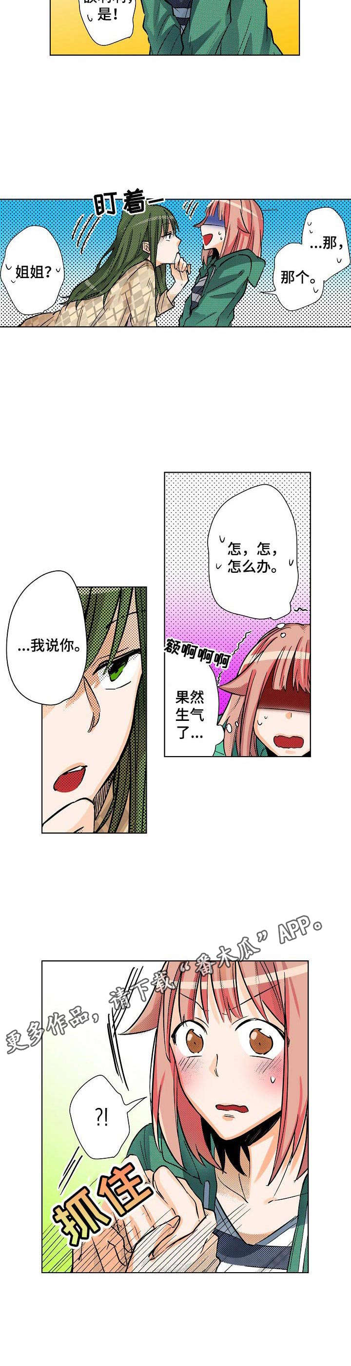 《对我有感觉吗》第9章姐姐 第4页